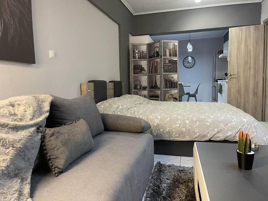 Central Modern Apartment וולוס מראה חיצוני תמונה