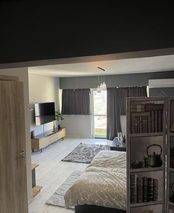 Central Modern Apartment וולוס מראה חיצוני תמונה